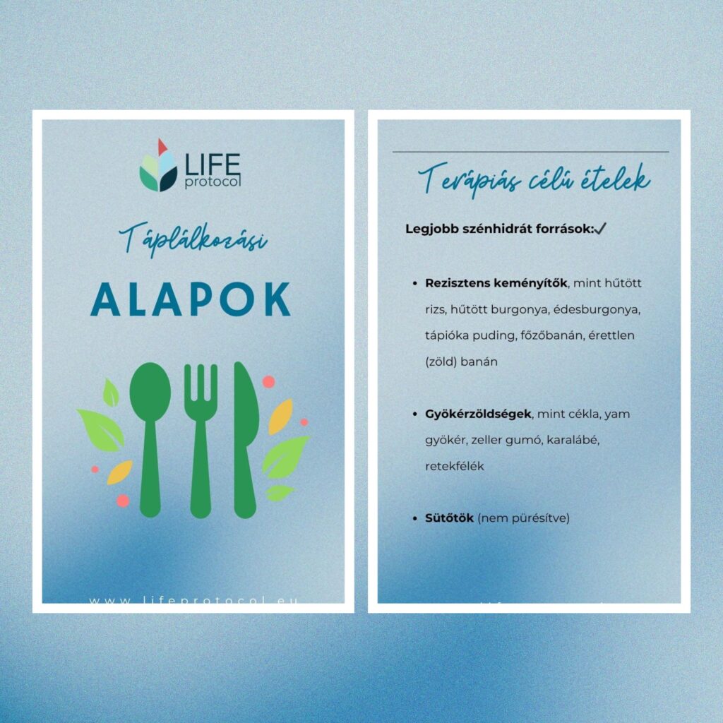 Táplálkozási alapok ebook